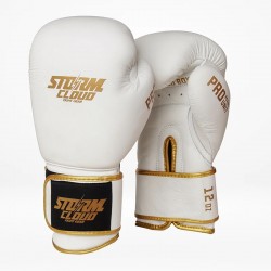 Rękawice bokserskie Boxing Pro StormCloud