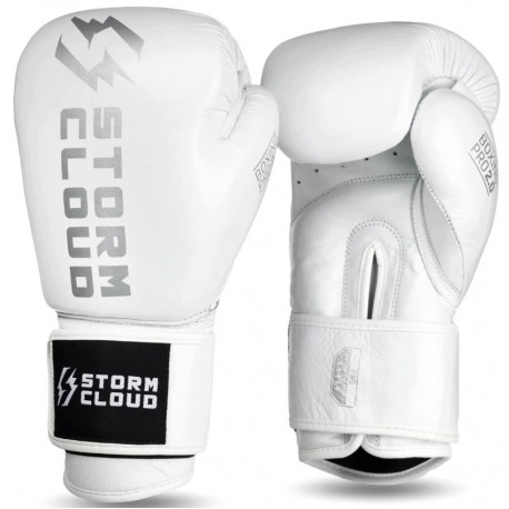Rękawice bokserskie StormCloud Boxing Pro 2.0