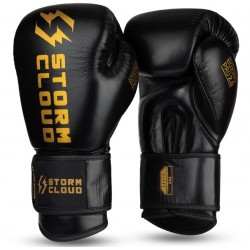Rękawice bokserskie Storm Cloud Boxing Pro 2.0