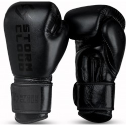 Rękawice bokserskie Storm Cloud Boxing Pro 2.0