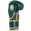 Rękawice bokserskie DBX BUSHIDO Pro Fighter skóra ProFighter Emerald
