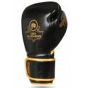 Rękawice bokserskie DBX BUSHIDO Pro Fighter skóra ProFighter